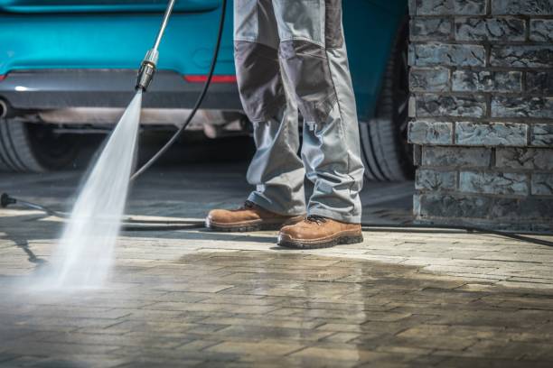 Best Dumpster Area Cleaning  in Cypress Gardens, FL